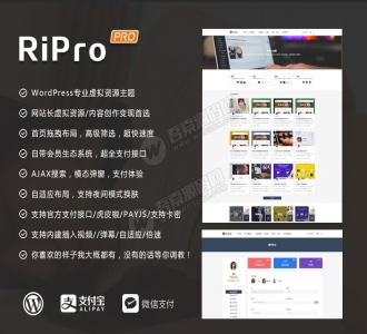 Wordpress主题：RiPro6.3.8最新版完整修复去后门和加密文件